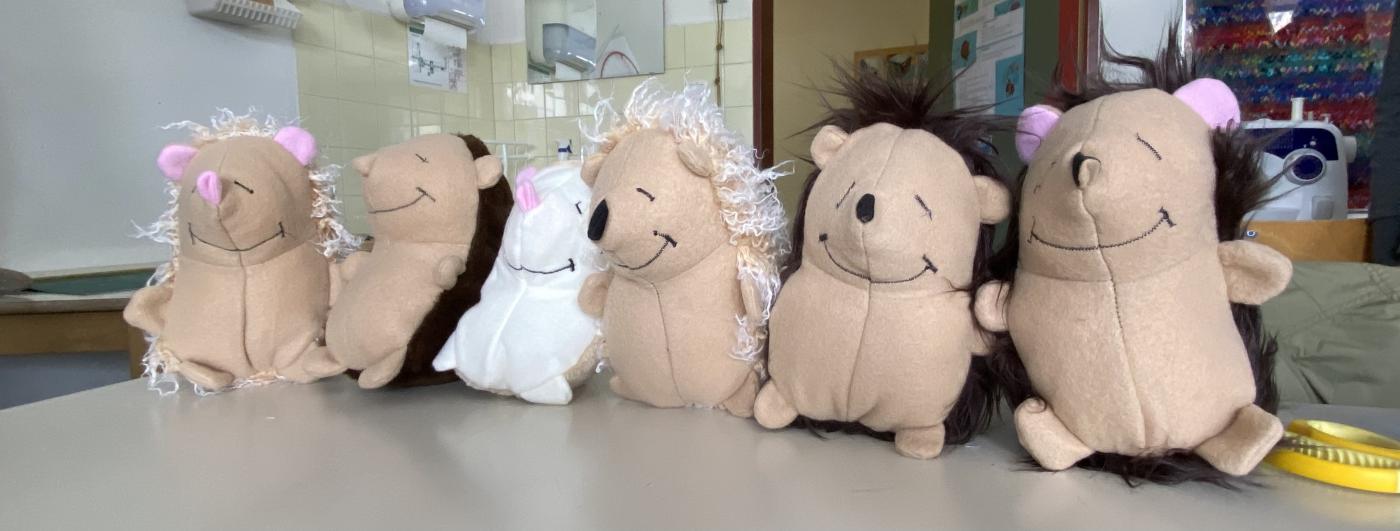 TEX Werken: Igel der Klasse 3a und 3b