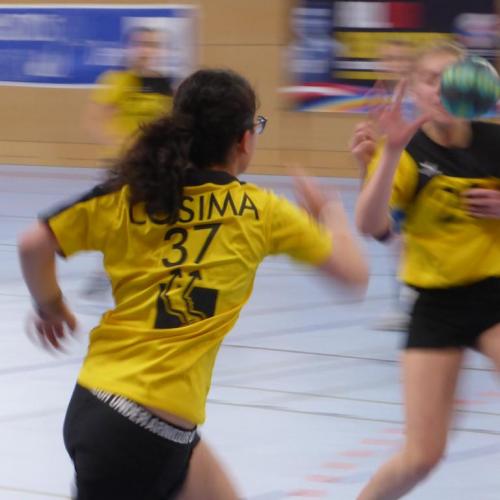 Handball Wien