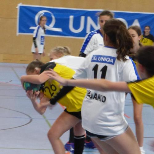 Handball Wien