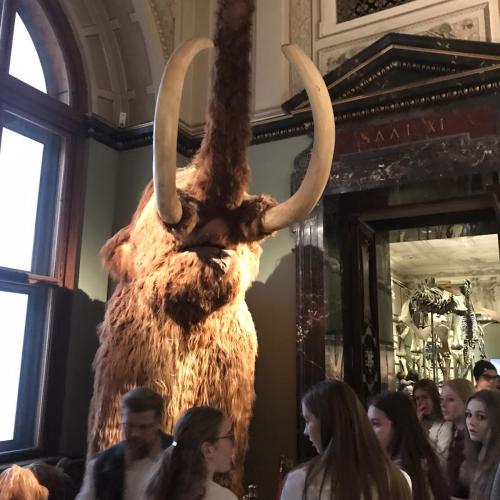 Wien19