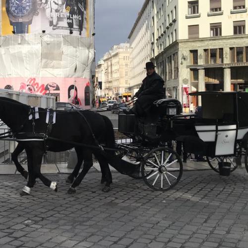 Wien19