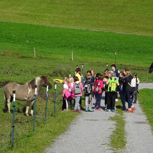 Wandertag 1A