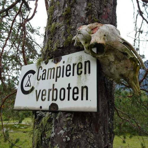 ErasmusLech