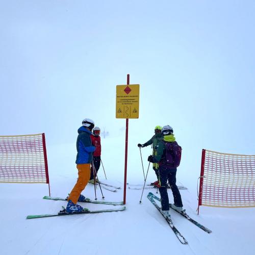 ski