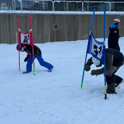 ski