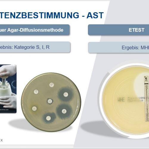 resistenz