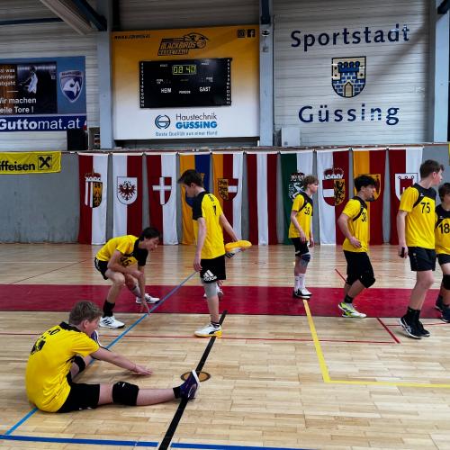 VB Güssing