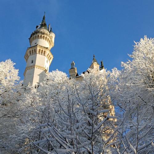 Neuschwanstein