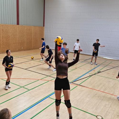 Volleyball Turnier HTL BRG