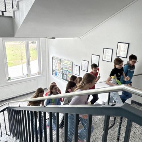 Treppenhaus Tulpe 4