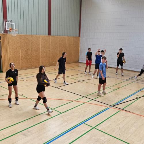 Volleyball Turnier HTL BRG