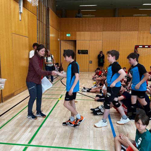 Mini-VB 2026