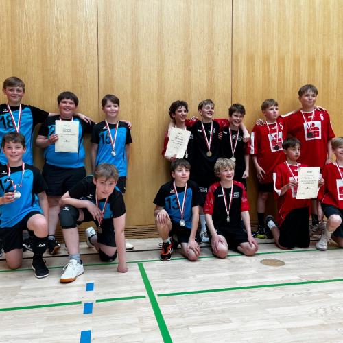 Mini-VB 2026