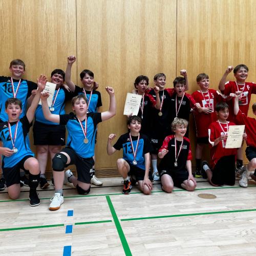 Mini-VB 2026