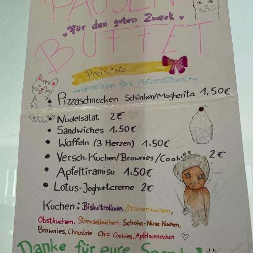 Und zum Schluss … Alles für die Katz?