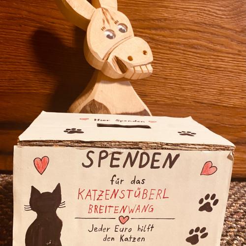 Und zum Schluss … Alles für die Katz?