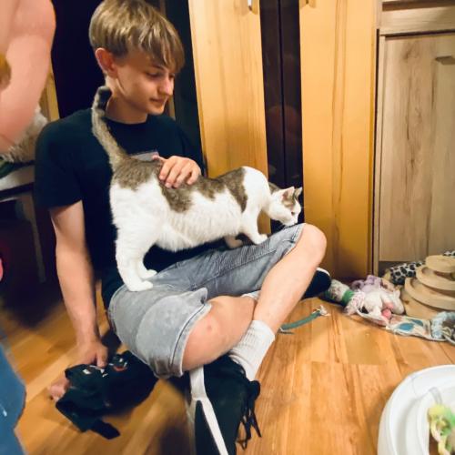 Und zum Schluss … Alles für die Katz?