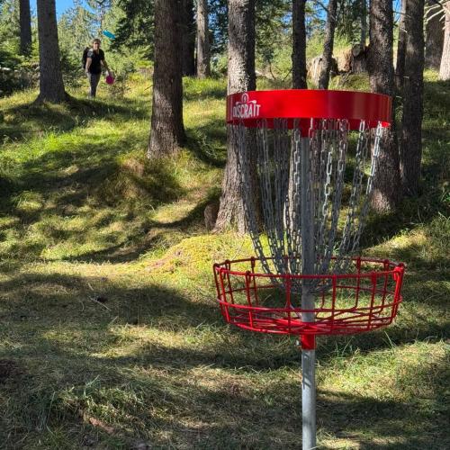 Disc Golf