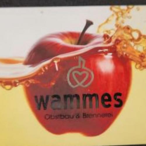 Äpfel