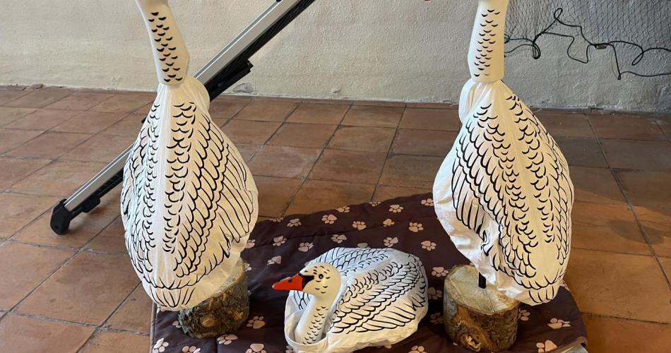 Stay connected - mach es wie die Wildgänse