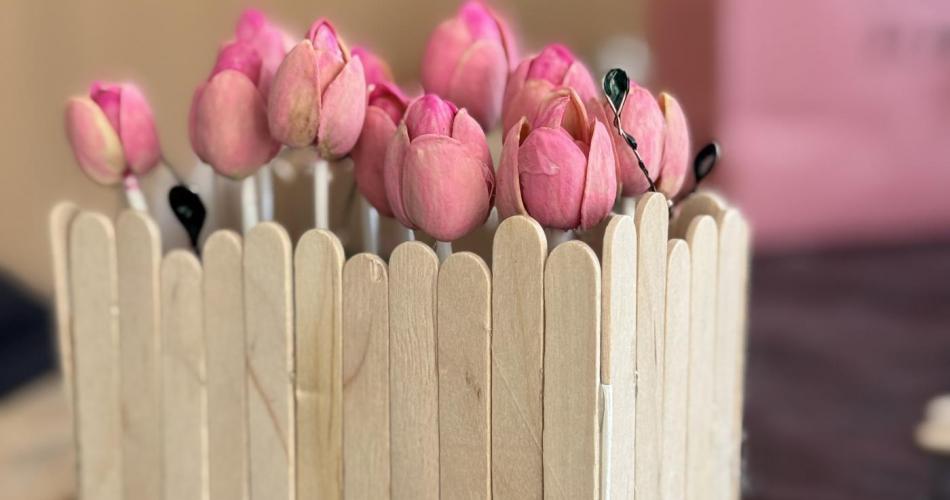 Rosa Tulpen Nahaufnahme